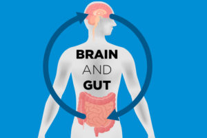 gut-brain connection